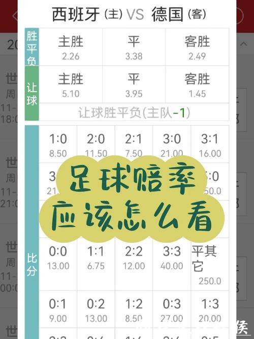 世界杯下注APP是否适合初学者的评估